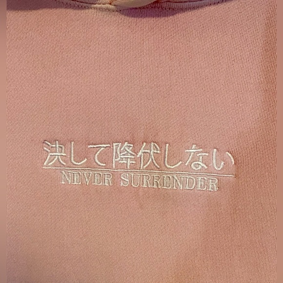 Pacsun Light Pink Hoodie / Sweatshirt Size Medium - Picture 2 of 7